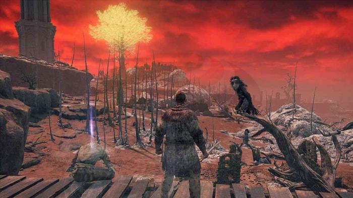 elden ring open world-1